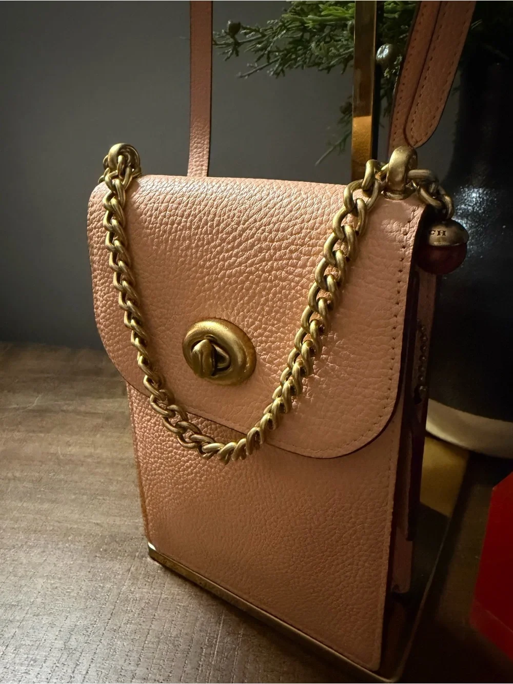 Coach Liv Crossbody Bag - Picture 3 of 14